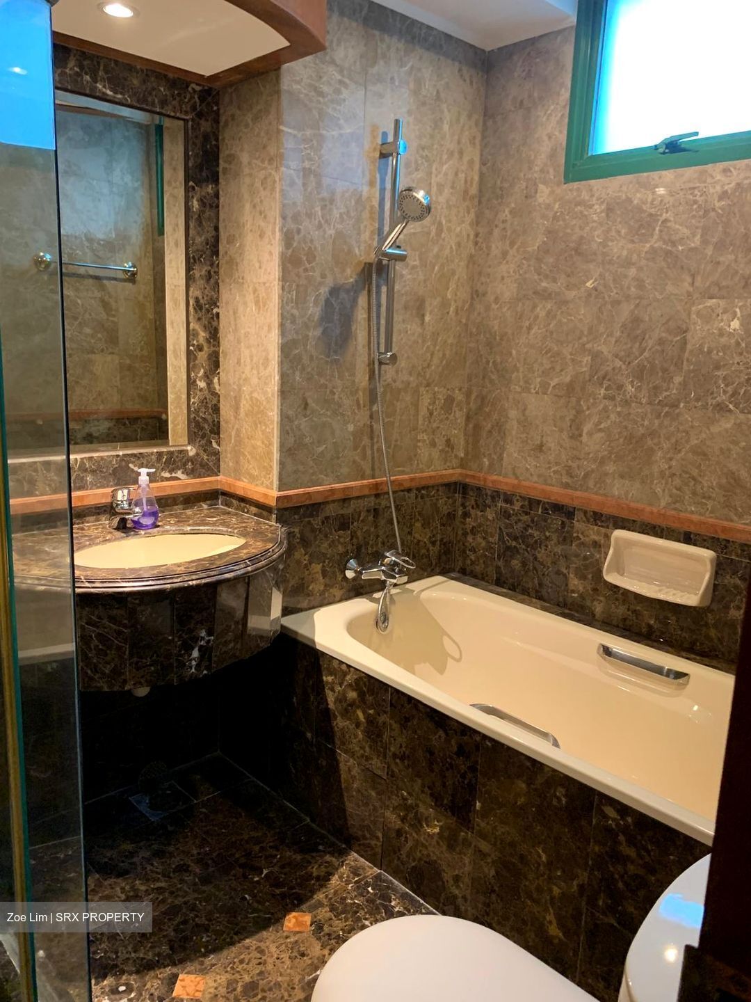 Signature Park (D21), Condominium #523298511